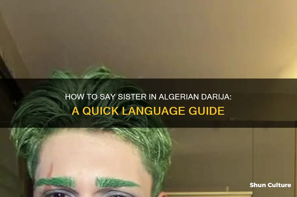 how to say sister in algerian darija