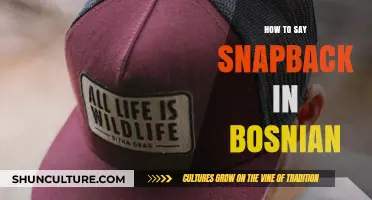 How to Say Snapback in Bosnian: A Quick Language Guide