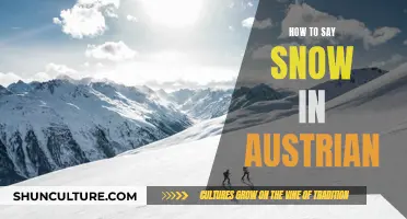 Exploring Austrian Snow: A Guide to Saying 'Snow' in German