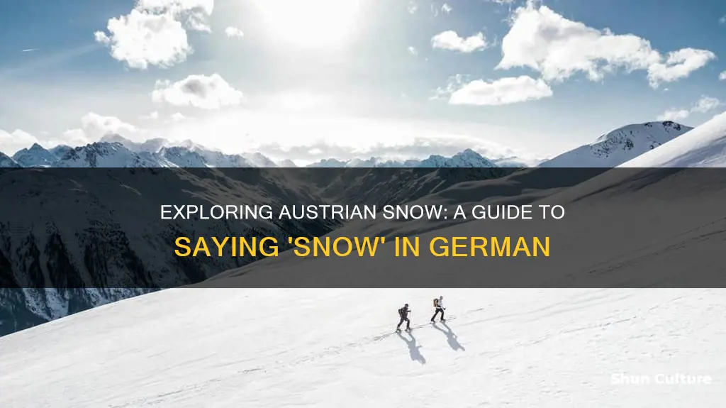 how to say snow in austrian