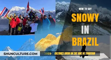 Discovering the Brazilian Word for Snowy: A Language Guide