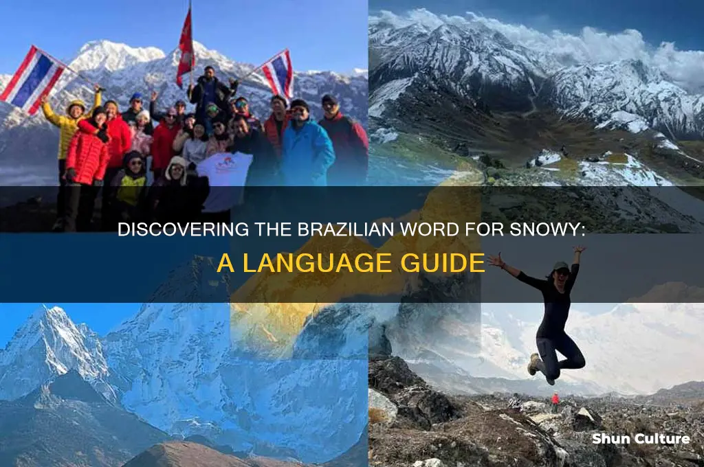 how to say snowy in brazil