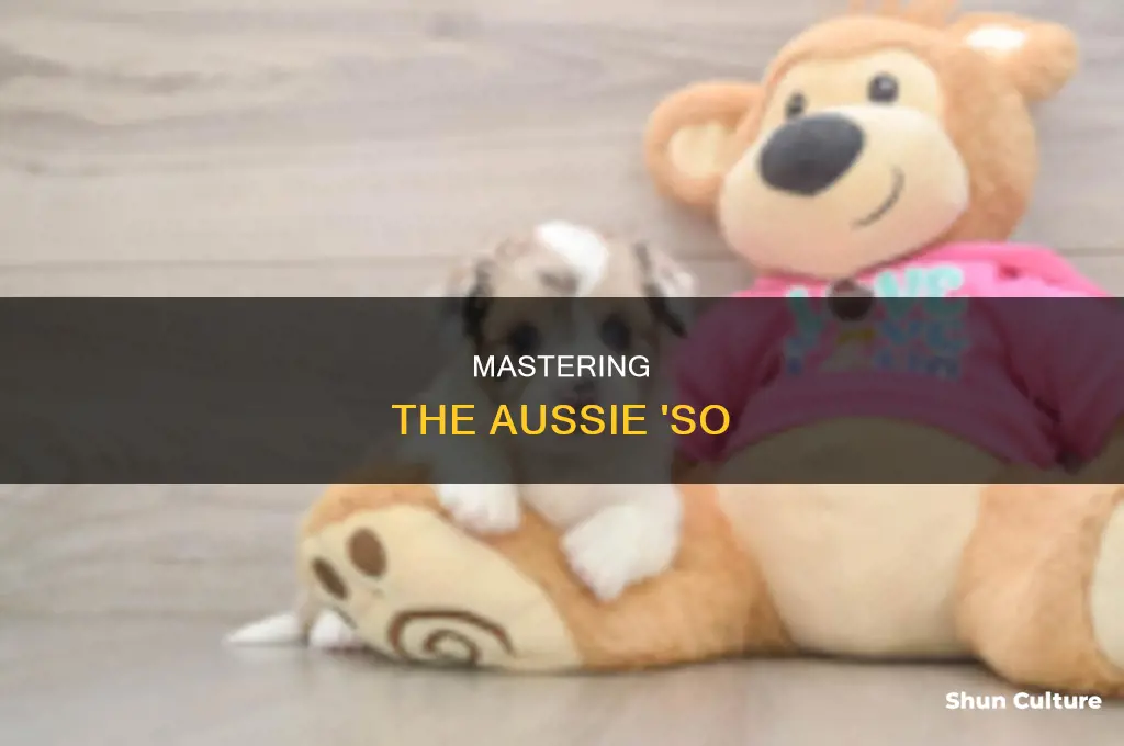 how to say so like an australian
