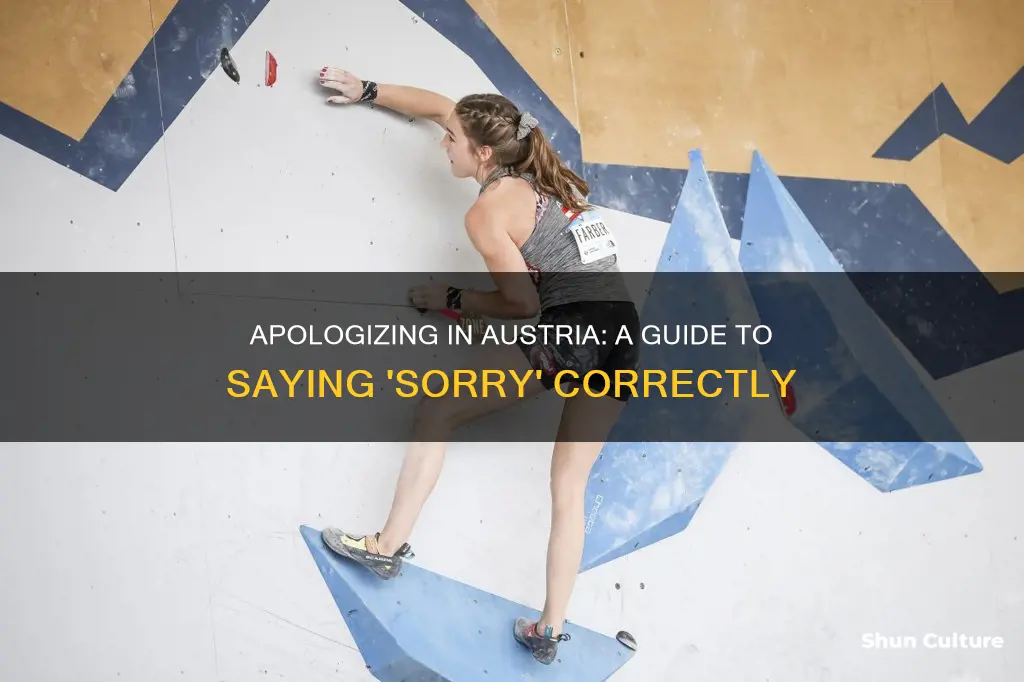 how to say sorry in austrian