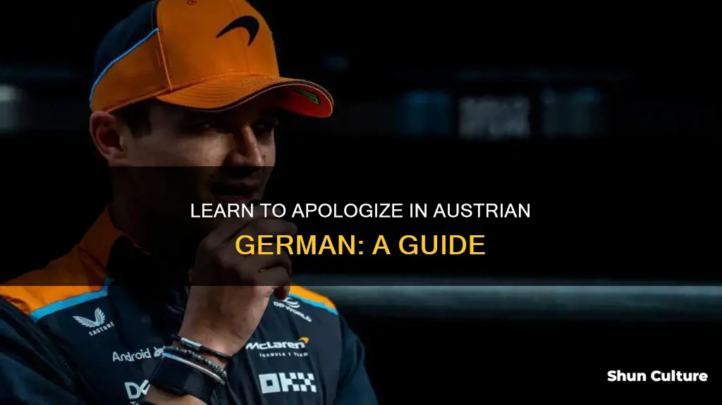 how to say sorry in austrian