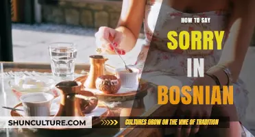 Mastering Bosnian Apologies: A Guide to Saying Sorry Authentically