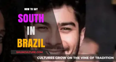 How to Say 'South' in Brazilian Portuguese: A Quick Guide
