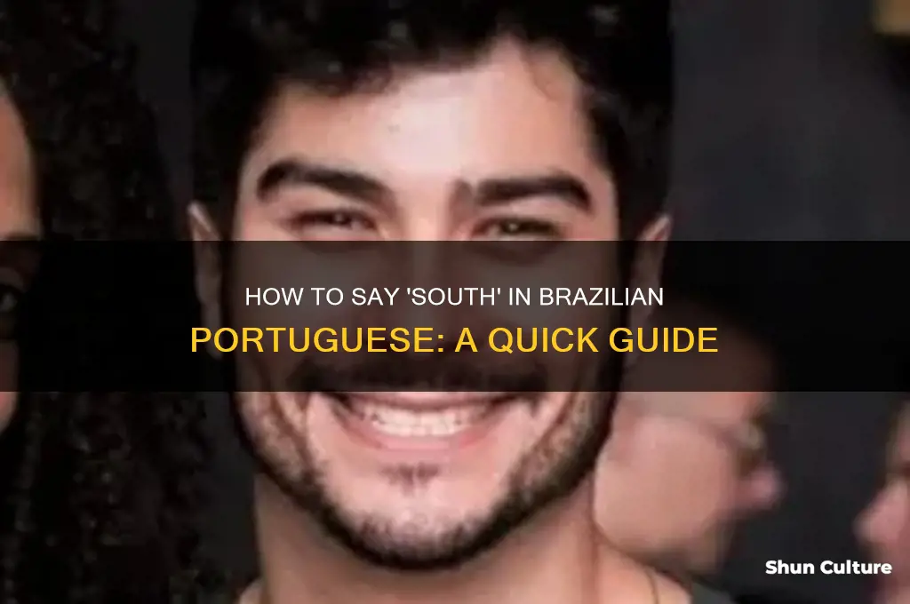how to say south in brazil