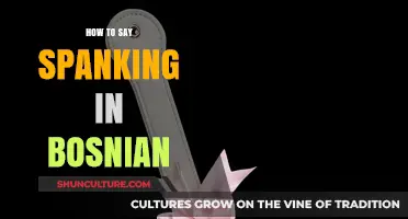 How to Express Spanking in Bosnian: A Quick Language Guide