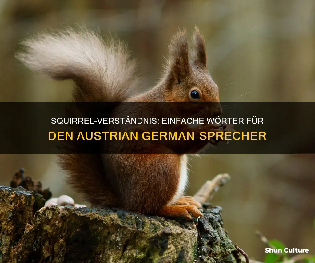 how to say squirrel in austrian german