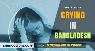 Calming Tears: How to Say 'Stop Crying' in Bangladesh