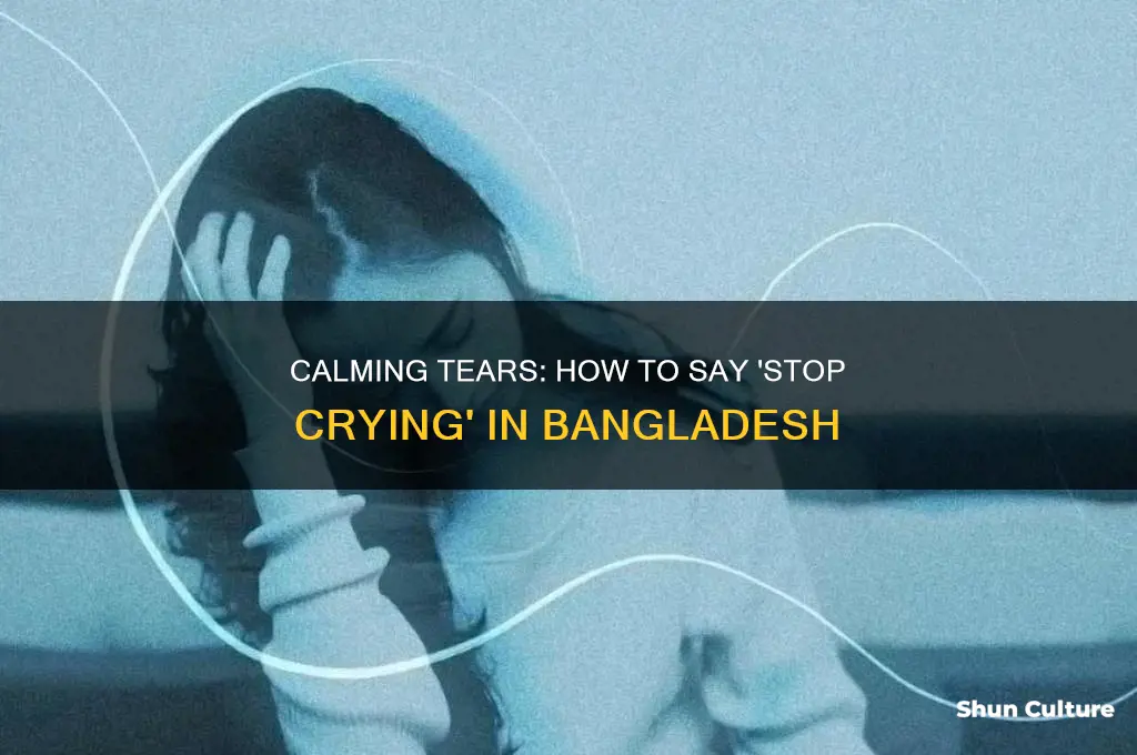 how to say stop crying in bangladesh