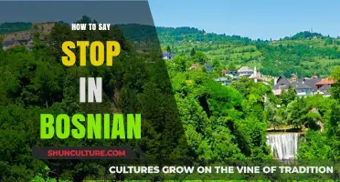 Mastering Bosnian: Learn How to Say 'Stop' in Everyday Conversations