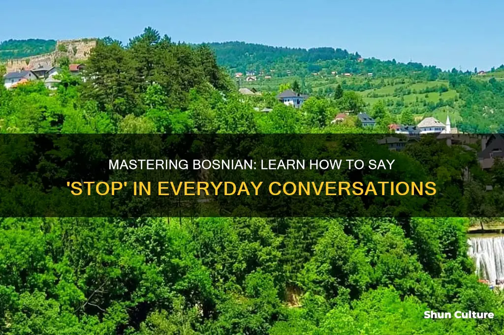 how to say stop in bosnian