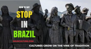 Mastering Portuguese: How to Say 'Stop' in Brazil Like a Local