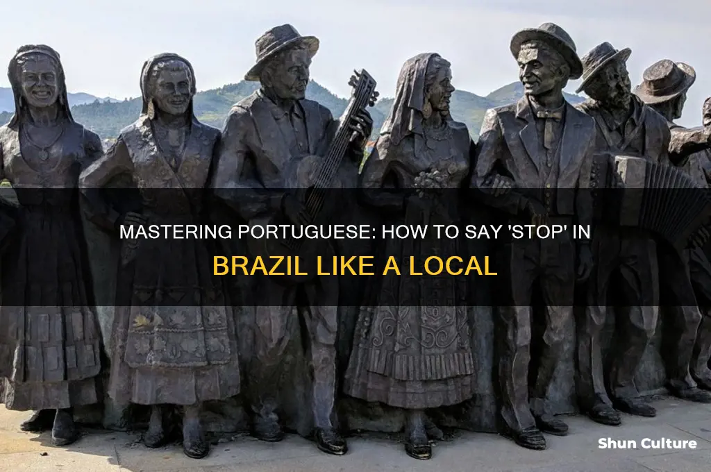 how to say stop in brazil