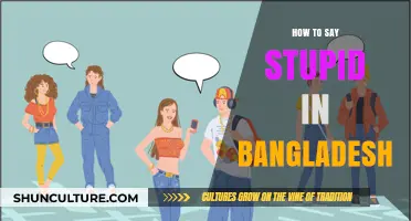 Exploring Bengali Slang: How to Express 'Stupid' in Bangladesh
