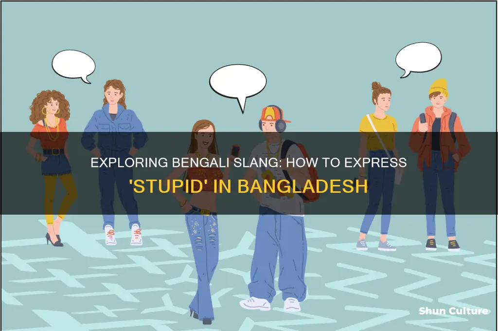 how to say stupid in bangladesh
