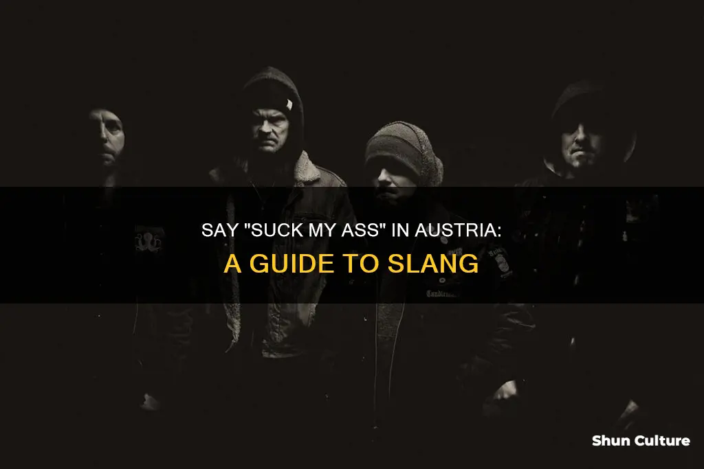 how to say suck my ass in austria