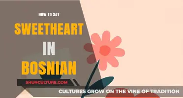 Expressing Affection in Bosnian: Learn How to Say Sweetheart