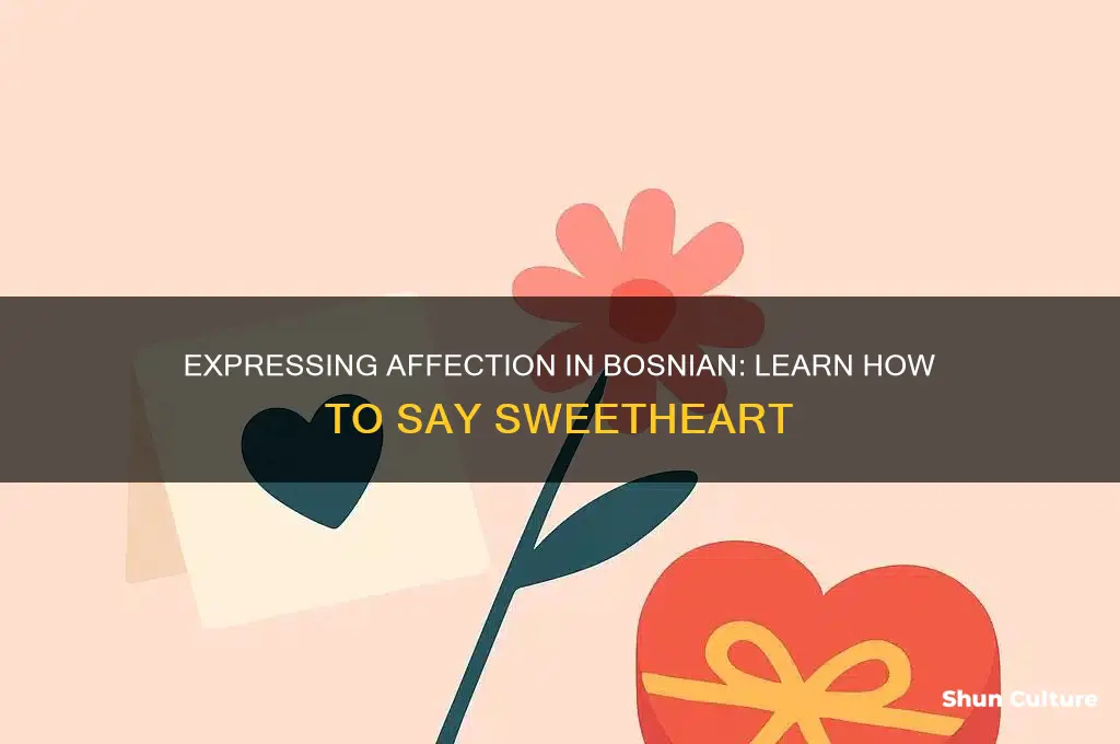 how to say sweetheart in bosnian