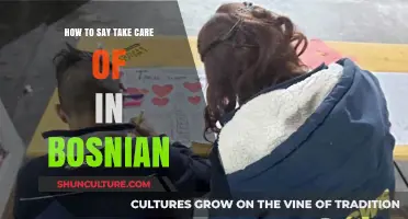 Learn Bosnian: How to Say 'Take Care Of' in Everyday Conversations