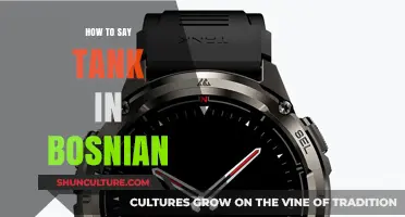 How to Say Tank in Bosnian: A Quick Language Guide