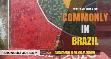 Expressing Gratitude in Brazil: Common Ways to Say Thank You