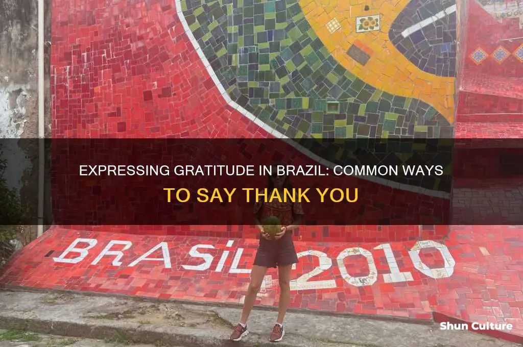 how to say thank you commonly in brazil