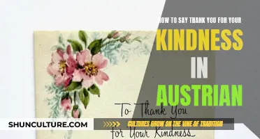 Expressing Gratitude: Saying 'Danke' for Kindness in Austria