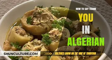 Expressing Gratitude in Algerian Arabic: A Guide to Saying Thank You