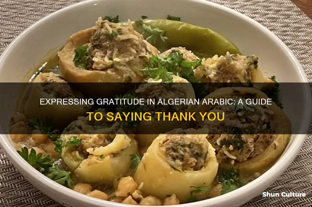 how to say thank you in algerian