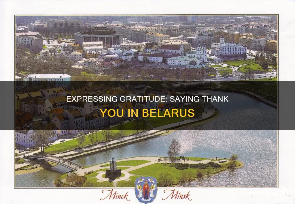 how to say thank you in belarus