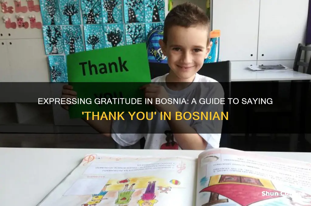 how to say thank you in bosnia