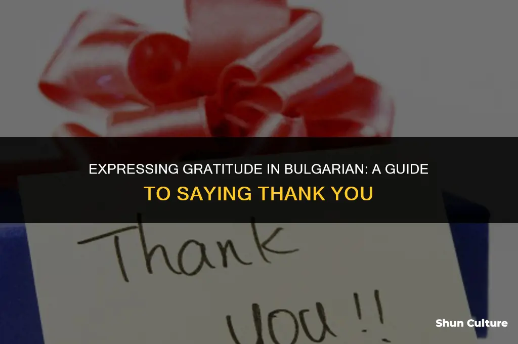 how to say thank you in bulgarian