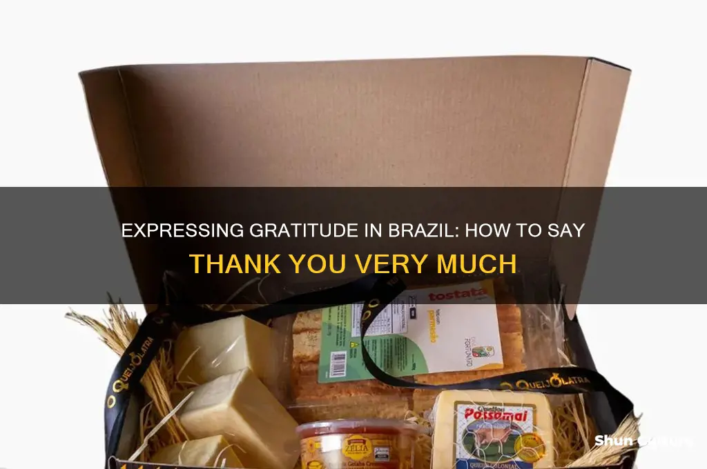how to say thank you very much in brazil