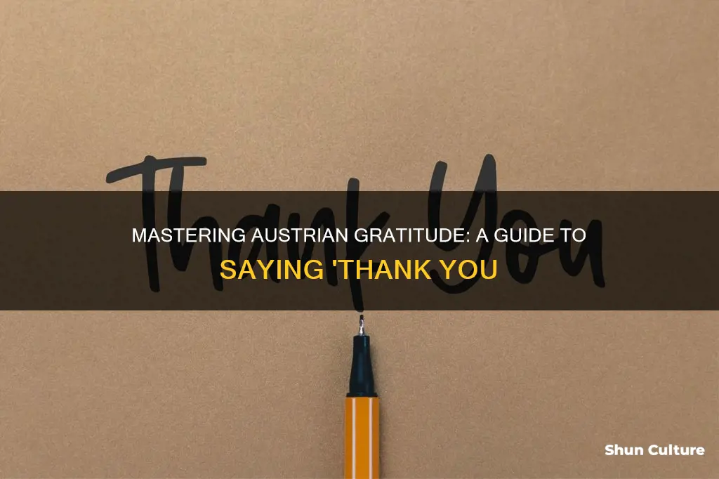 how to say thankbyou in austrian