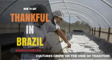 Expressing Gratitude in Brazil: How to Say Thankful Like a Local