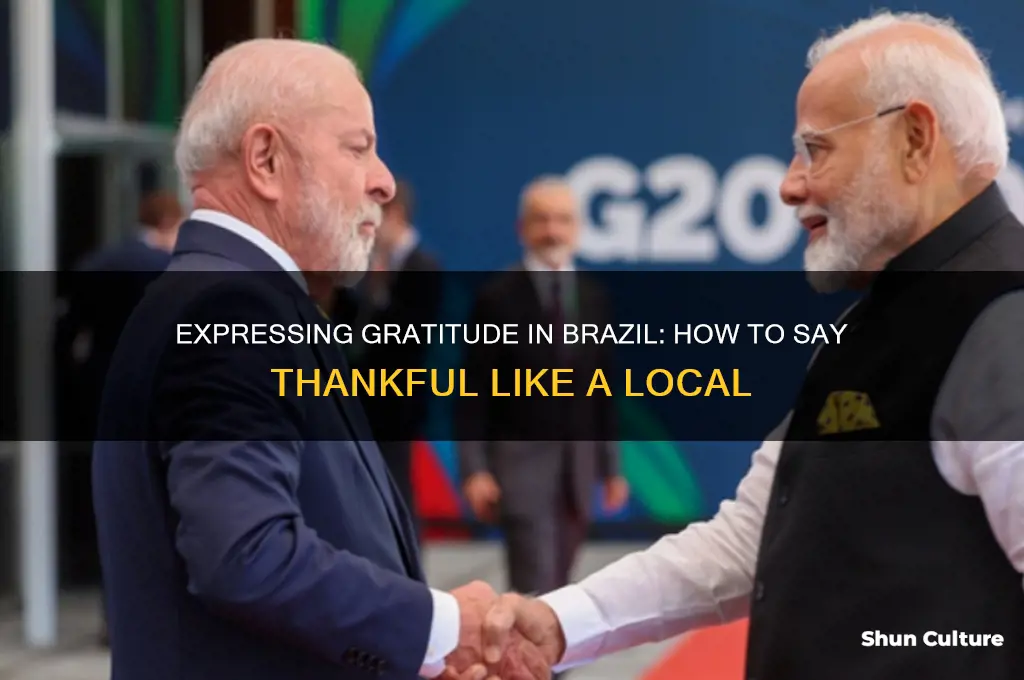 how to say thankful in brazil
