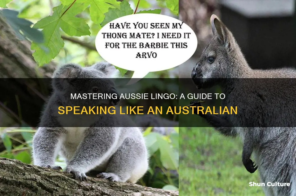 how to say things like an australian