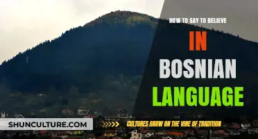 How to Express 'Believe' in Bosnian: A Quick Language Guide