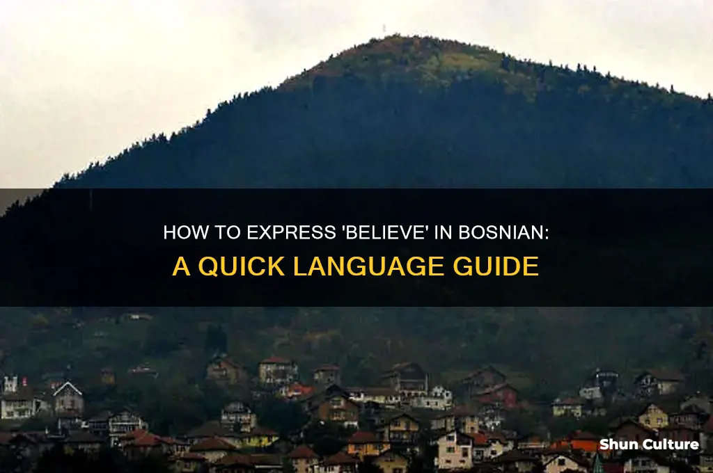 how to say to believe in bosnian language