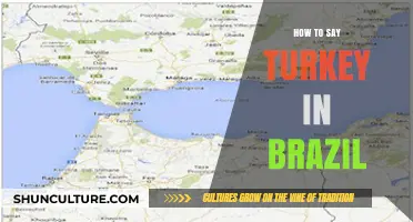 Discovering the Brazilian Word for Turkey: A Cultural Language Guide