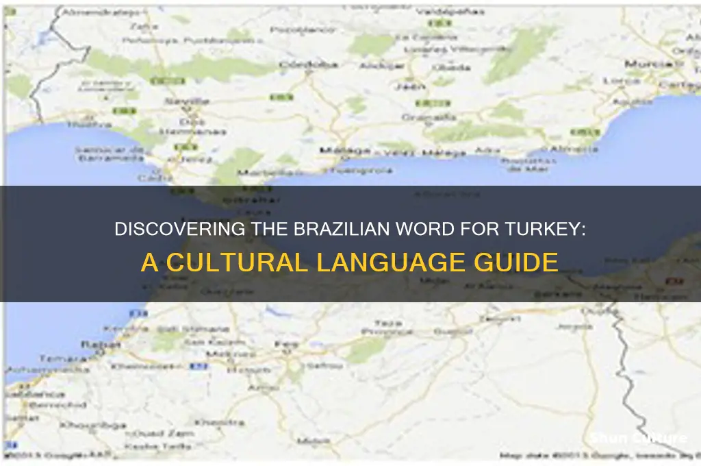 how to say turkey in brazil