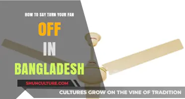 Polite Ways to Ask Someone to Turn Off the Fan in Bangladesh