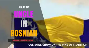 How to Say Uncle in Bosnian: A Quick Language Guide