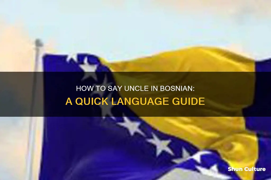 how to say uncle in bosnian