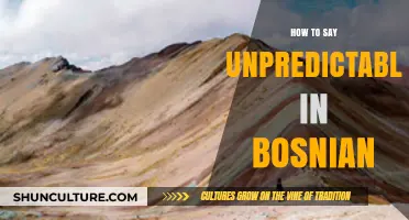 Mastering Bosnian Vocabulary: Learn How to Say Unpredictable in Bosnian