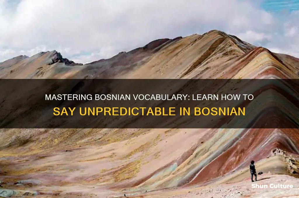 how to say unpredictable in bosnian