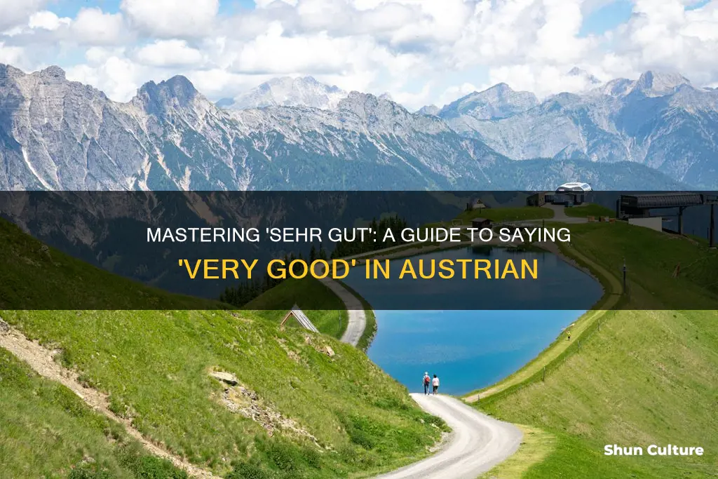 how to say very good in austrian